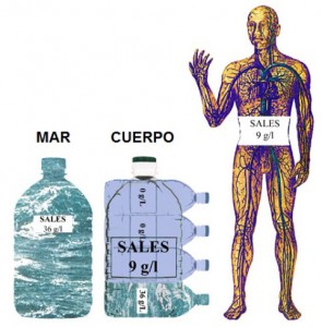 agua-de-mar-corporal